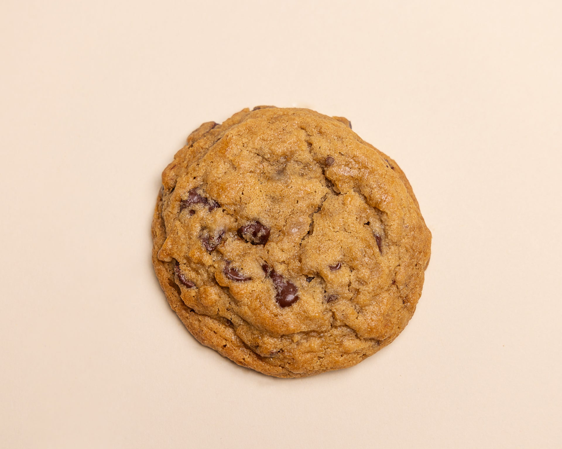 Chocolate Chip